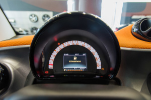 fortwo(进口)仪表 