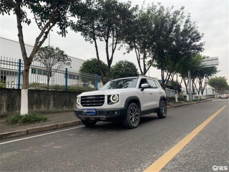 哈弗大狗 2021款 1.5t 双离合 两驱 边牧版