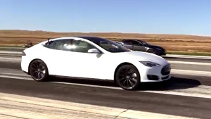 【【驯养秘籍】比熊犬怎么训练怎么养】_宠物