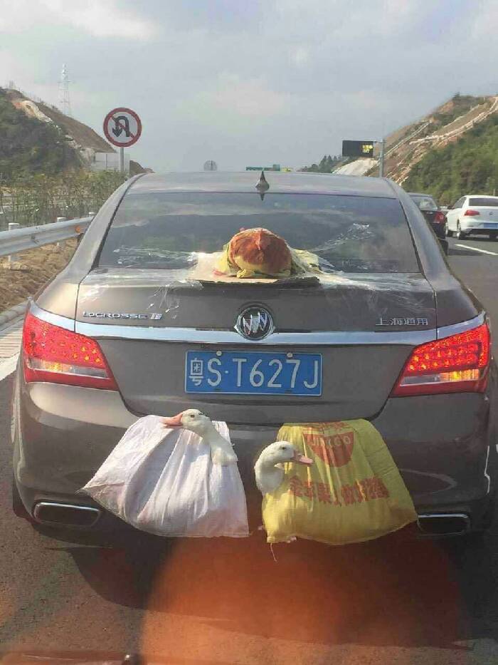 惊现双涡轮增压,发动机后置神车!