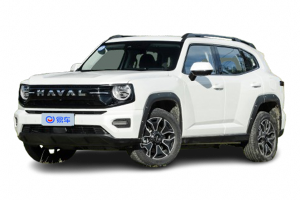 哈弗大狗PLUS PHEV