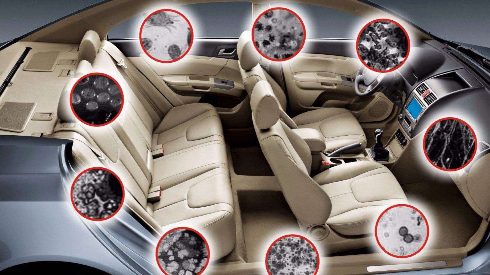 如何去除新车的异味?